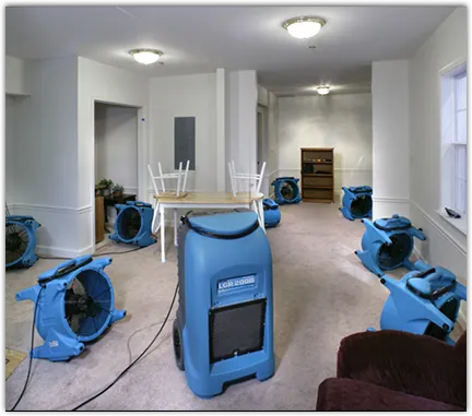 Drying & Dehumidification in Medford, MA