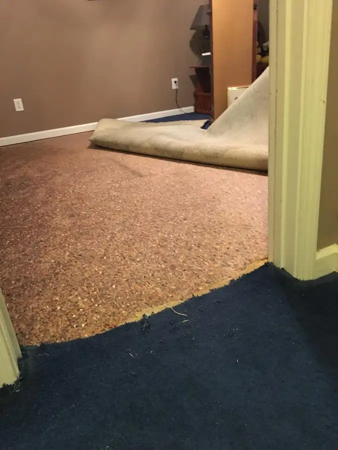 Carpet pad removal revealing water damage during Drying & Dehumidification in Medford